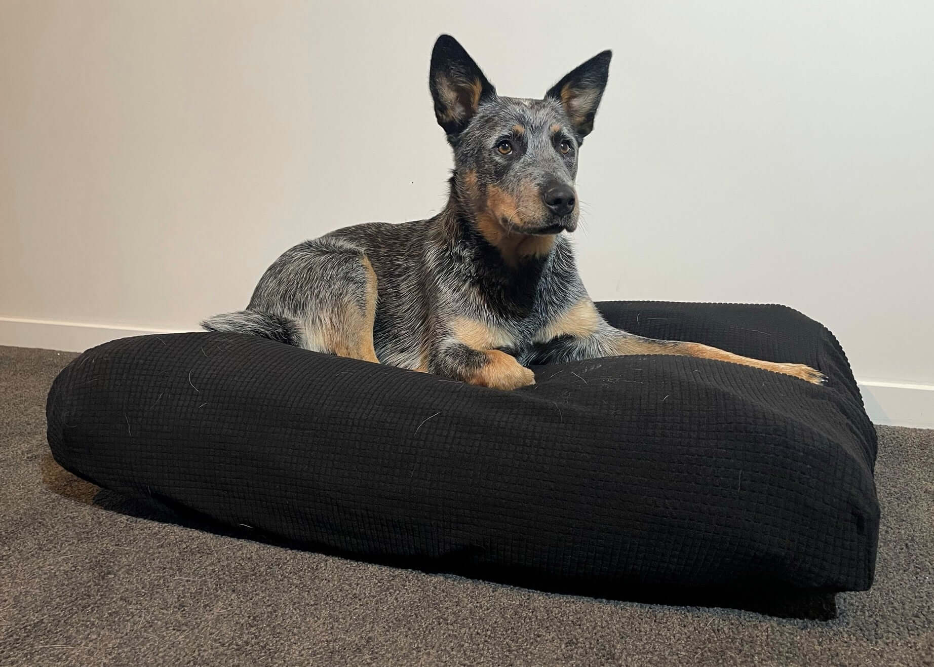 Black Warm Dog Bed Cover Rectangular Bean Bag Bed