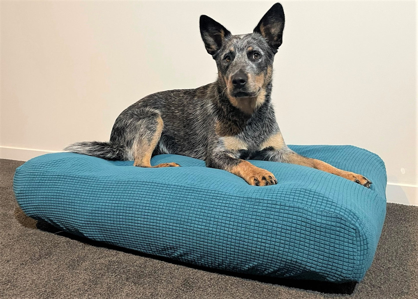 Small pet bed cover