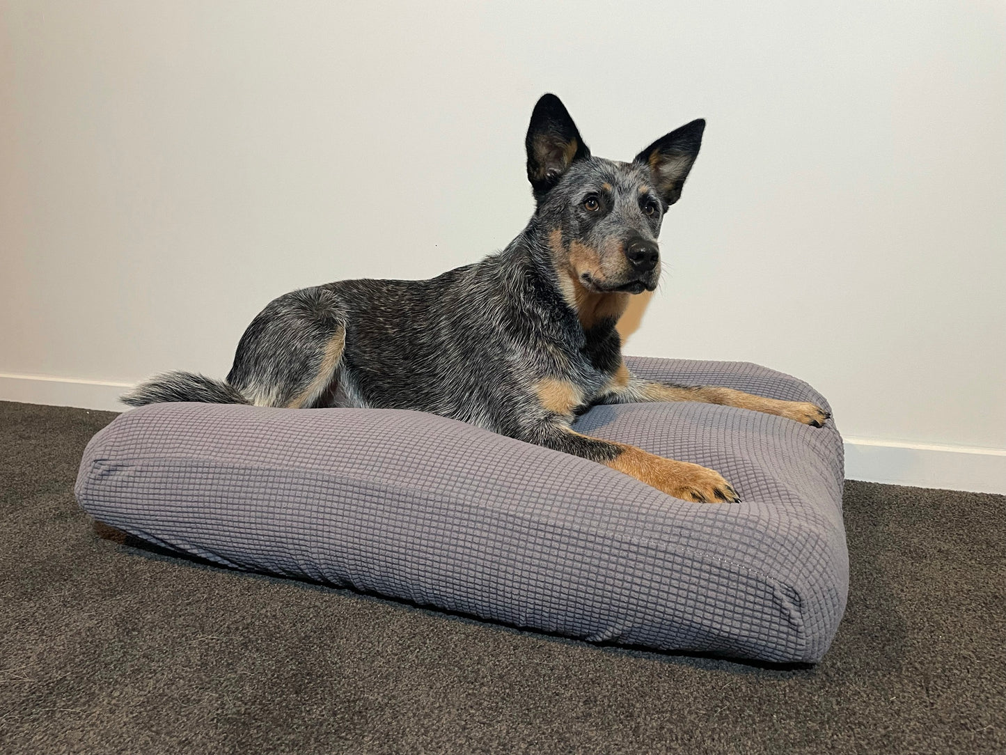 Medium pet bed cover